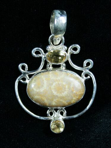Beautiful Fossil Coral Pendant #7720